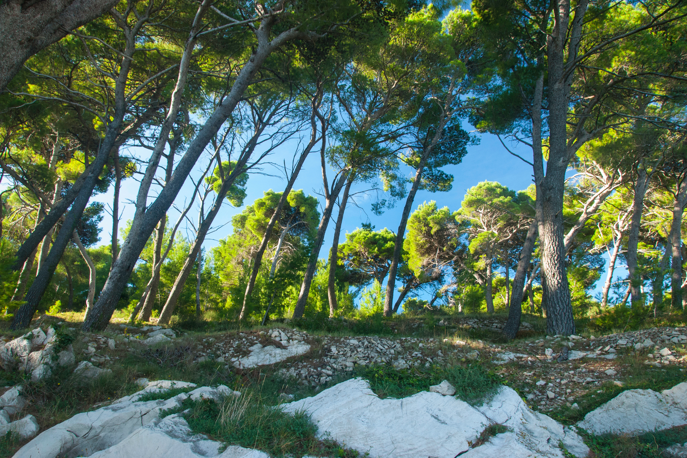 cavtat (4).webp